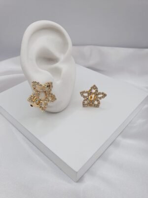 Brinco Flor de Pressão