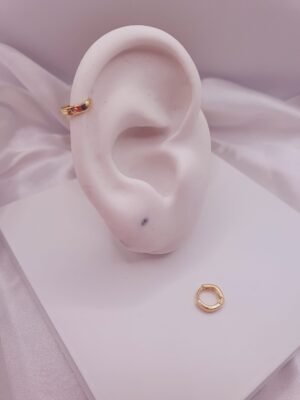 Argolinha Cartilagem 0270l